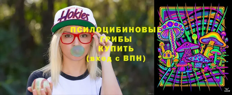 Псилоцибиновые грибы Cubensis  Аксай 